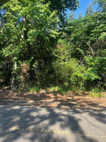 1290 Guy Branch Road, Cottonwood, AL 36320