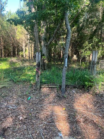 1290 Guy Branch Road, Cottonwood, AL 36320