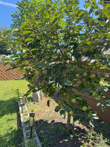 549 Everton Drive, Chapin, SC 29036