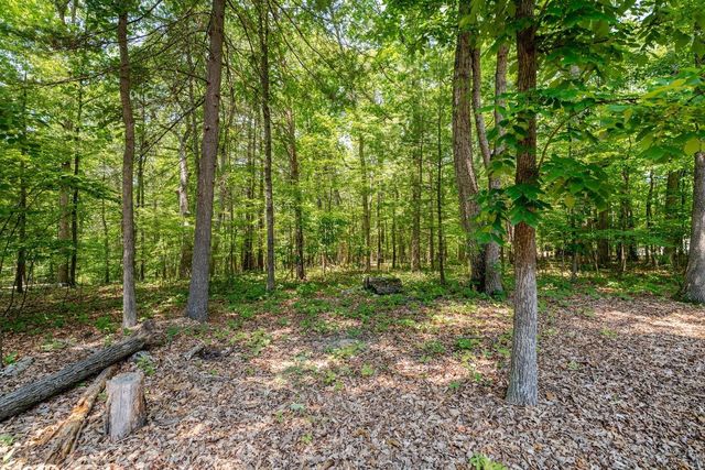 4201 BROWN MOUNTAIN LN, Elkton, VA 22827