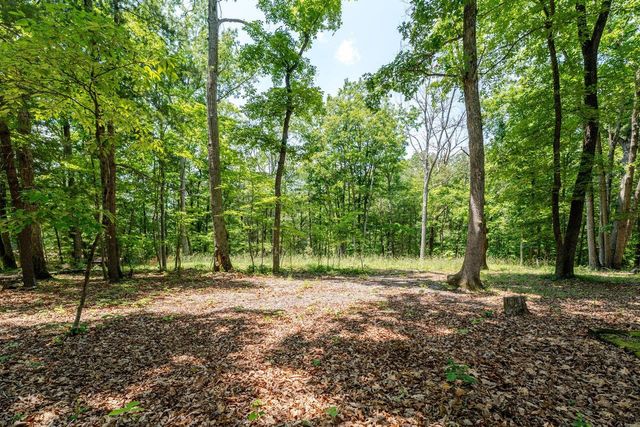 4201 BROWN MOUNTAIN LN, Elkton, VA 22827