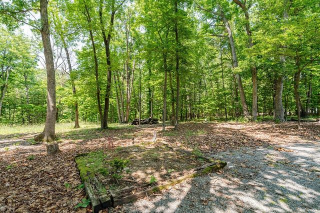 4201 BROWN MOUNTAIN LN, Elkton, VA 22827