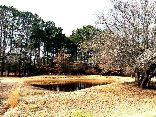 1525 Mansfield Road, Reno, TX 75462