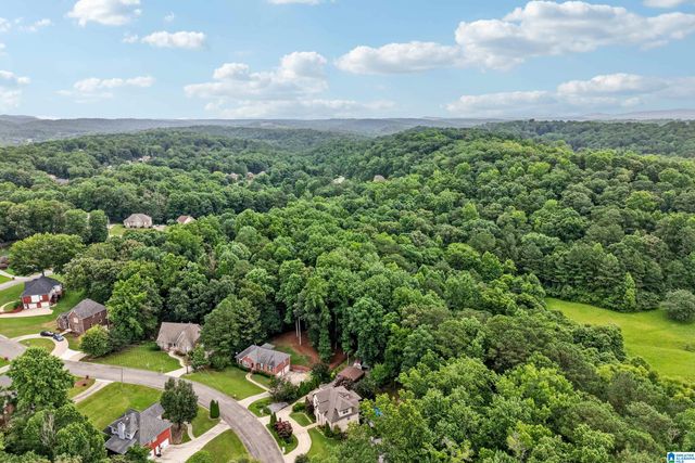 3531 STILL OAKS DRIVE, Trussville, AL 35173