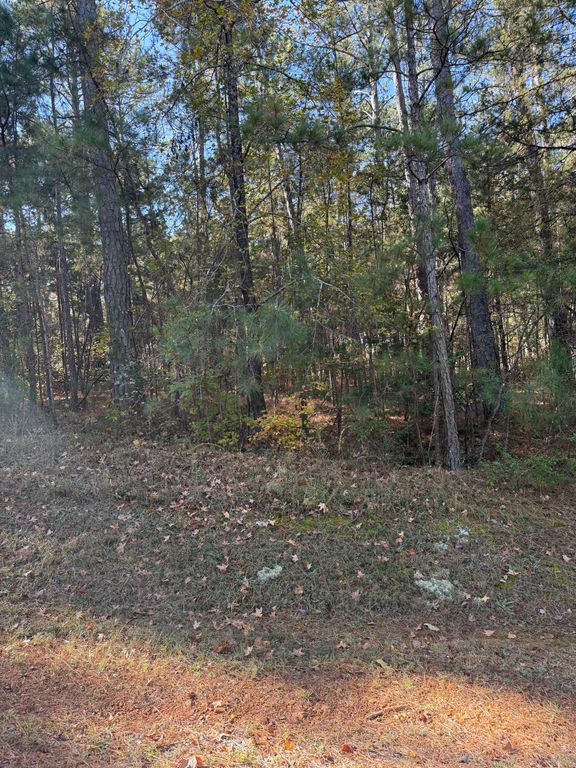 Lot 13 Two Wood Pl, Mc Cormick, SC 29835
