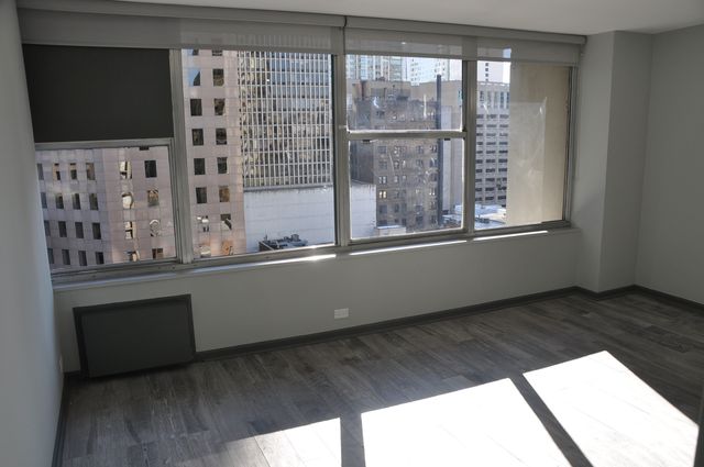 1000 N Lake Shore Drive 1401, Chicago, IL 60611