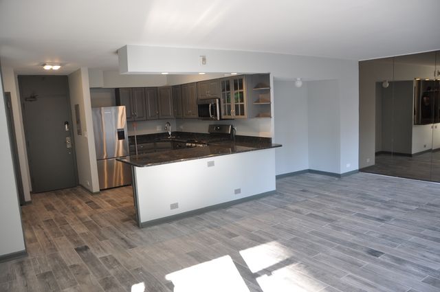 1000 N Lake Shore Drive 1401, Chicago, IL 60611