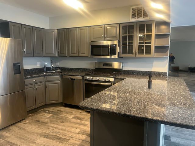 1000 N Lake Shore Drive 1401, Chicago, IL 60611