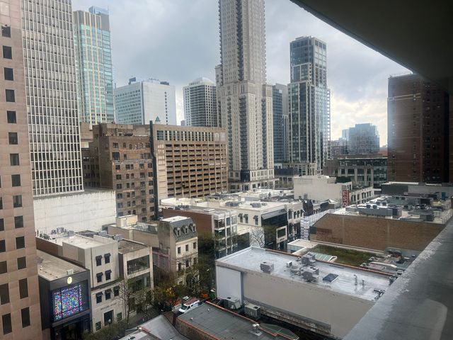 1000 N Lake Shore Drive 1401, Chicago, IL 60611