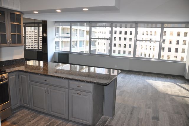 1000 N Lake Shore Drive 1401, Chicago, IL 60611