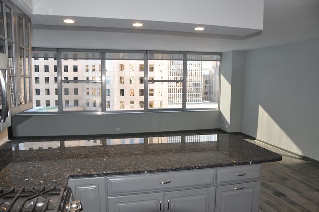 1000 N Lake Shore Drive 1401, Chicago, IL 60611