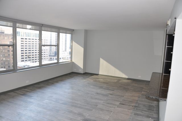 1000 N Lake Shore Drive 1401, Chicago, IL 60611