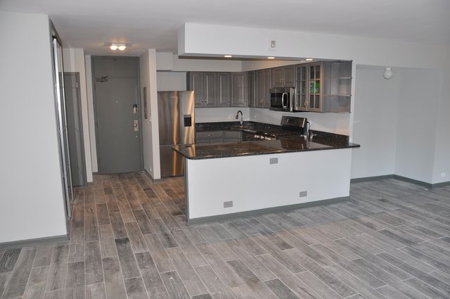 1000 N Lake Shore Drive 1401, Chicago, IL 60611