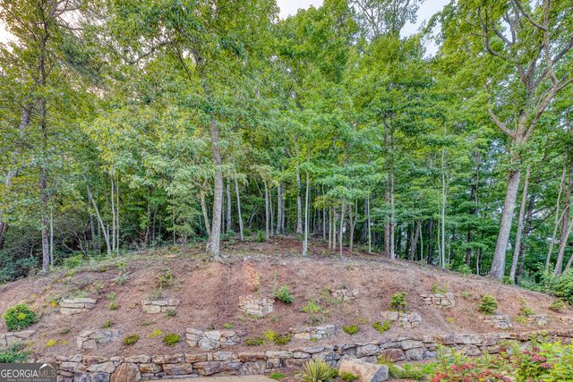 280 Point Of View Road 15, Blue Ridge, GA 30513