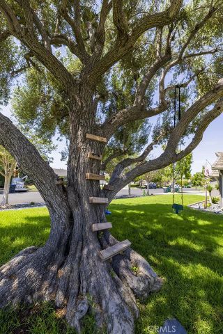 13591 Flint, Santa Ana, CA 92705