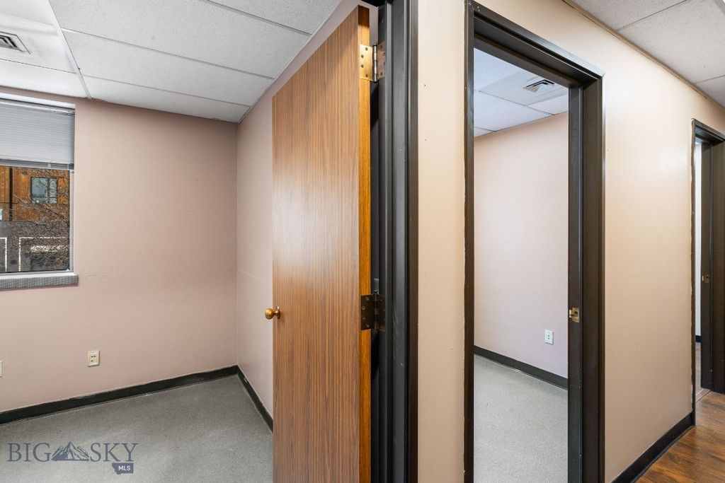 300 N Wilson, Bozeman, MT 59715 photo 30