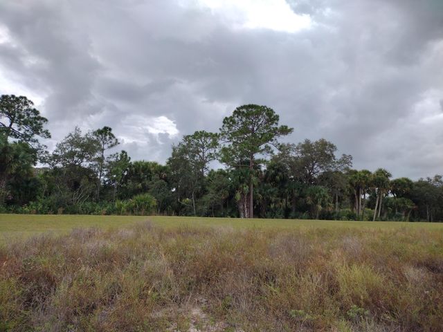 10124 SW Hemingway Terrace, Palm City, FL 34990