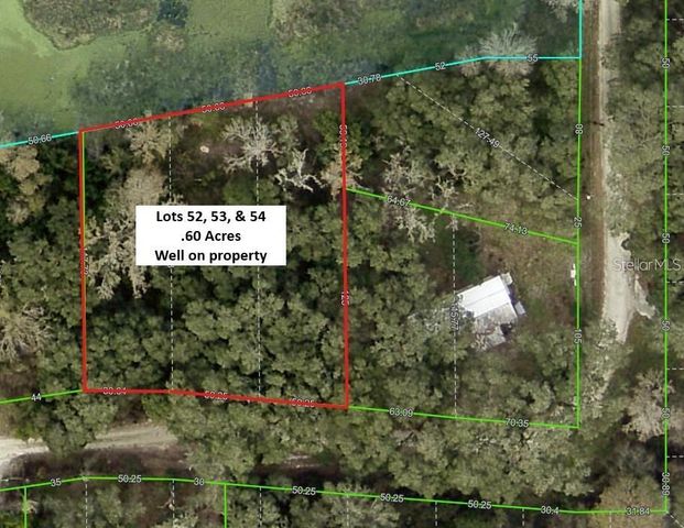 TANNAHILL STREET, Dade City, FL 33523
