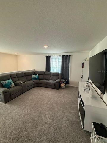 10662 CHIPPEWA DRIVE, Parrish, FL 34219