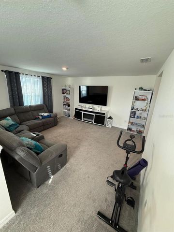 10662 CHIPPEWA DRIVE, Parrish, FL 34219