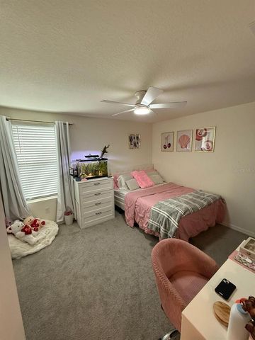 10662 CHIPPEWA DRIVE, Parrish, FL 34219