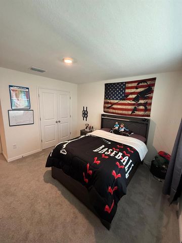 10662 CHIPPEWA DRIVE, Parrish, FL 34219