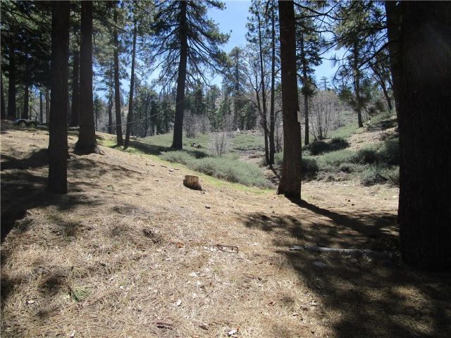 0 Green Valley Lake Dr., Green Valley Lake, CA 92352