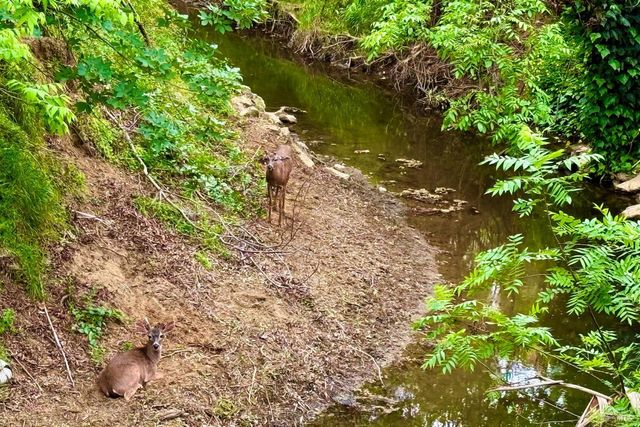 620 Walnut Ave, Vacaville, CA 95688