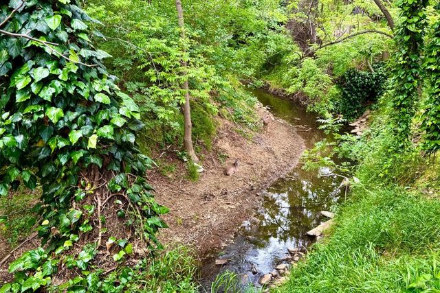 620 Walnut Ave, Vacaville, CA 95688