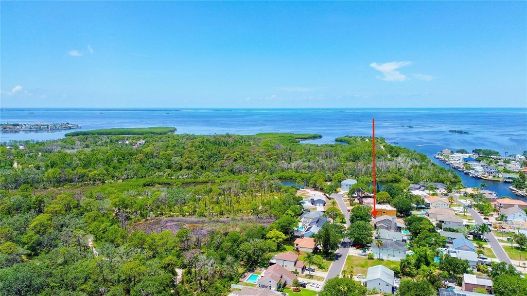 14 BAYWOOD DRIVE, Palm Harbor, FL 34683