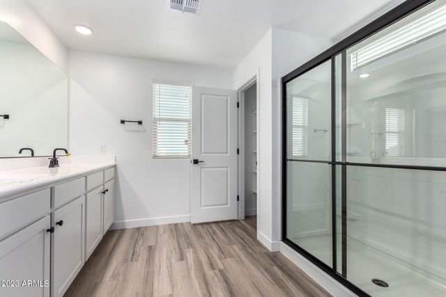 16968 W DIANA Avenue, Waddell, AZ 85355