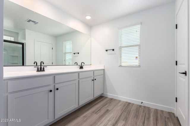 16968 W DIANA Avenue, Waddell, AZ 85355