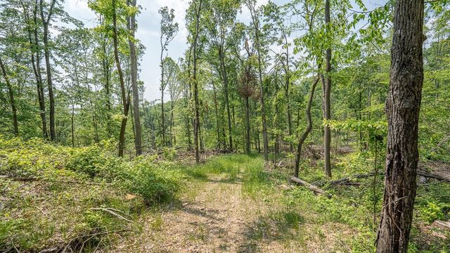 0 Cox Road, Logan, OH 43138