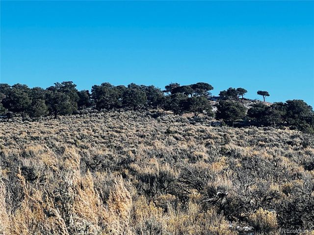 Lots 3504 & 3505 Slaughter Road, Fort Garland, CO 81133