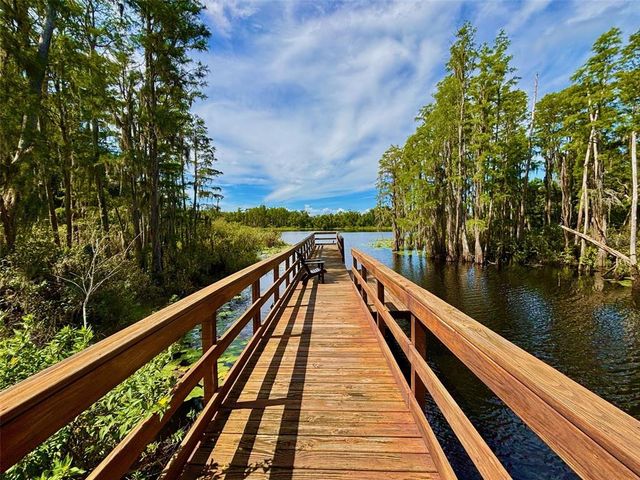 6221 SCARLET DARTER WAY, Tampa, FL 33625