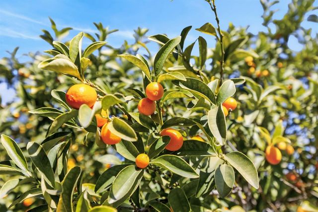 4117 H St, Sacramento, CA 95819