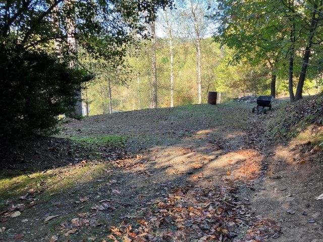 121 White Oak Drive, Warne, NC 28909