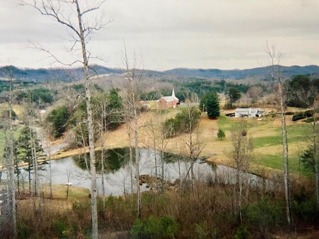 121 White Oak Drive, Warne, NC 28909