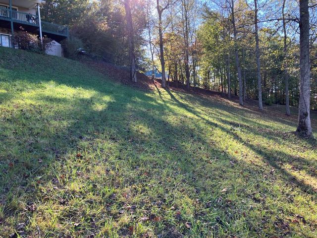 121 White Oak Drive, Warne, NC 28909