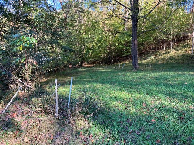 121 White Oak Drive, Warne, NC 28909