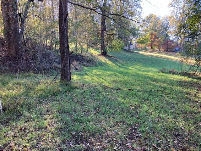 121 White Oak Drive, Warne, NC 28909