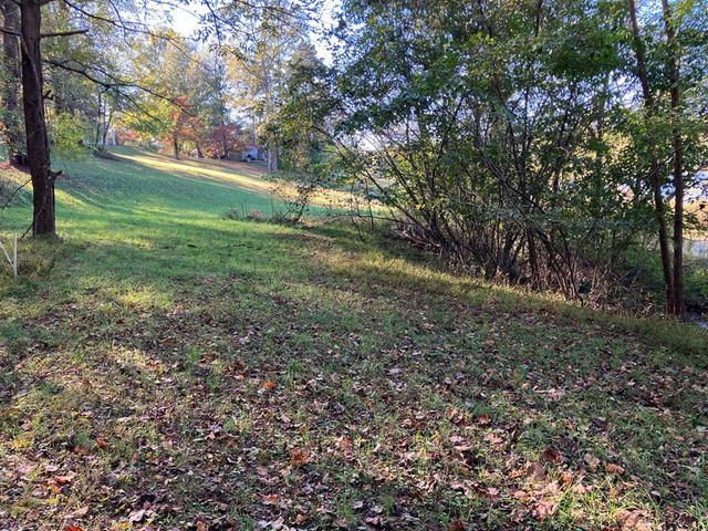 121 White Oak Drive, Warne, NC 28909