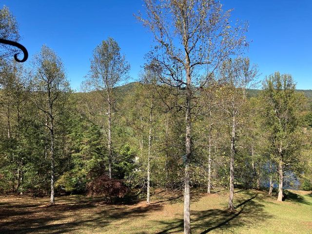 121 White Oak Drive, Warne, NC 28909