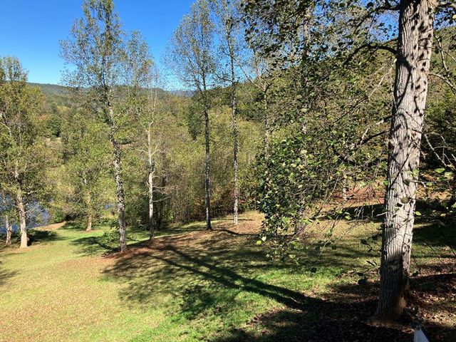 121 White Oak Drive, Warne, NC 28909
