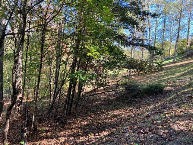 121 White Oak Drive, Warne, NC 28909