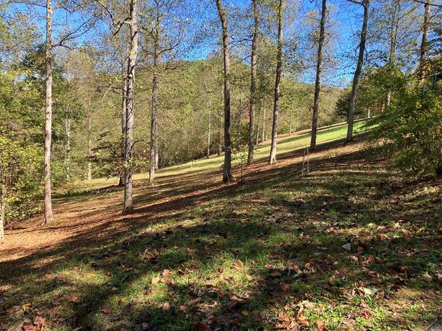 121 White Oak Drive, Warne, NC 28909