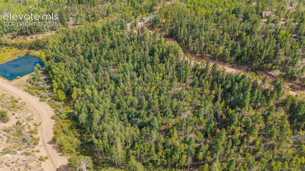 1034 Little Topsey Drive, Cripple Creek, CO 80813 — exterior