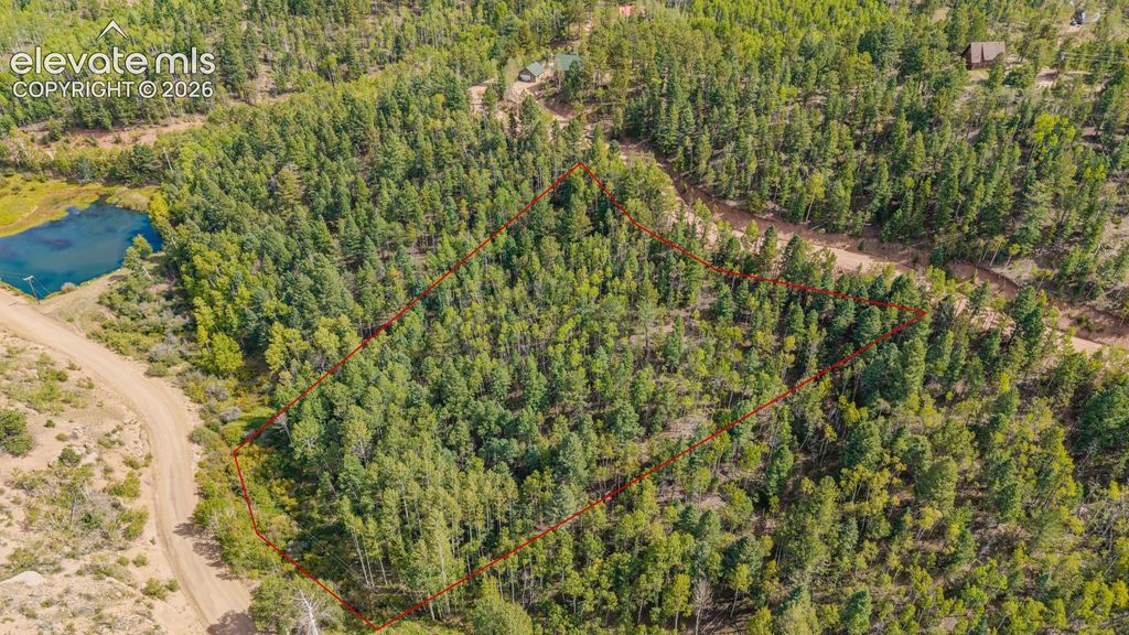 1034 Little Topsey Drive, Cripple Creek, CO 80813 — photo 2