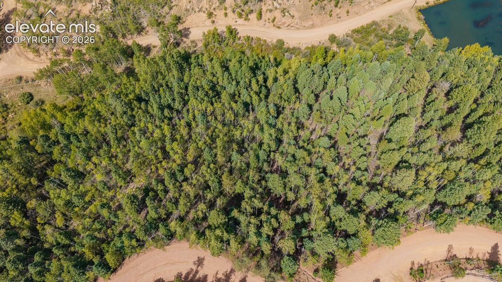 1034 Little Topsey Drive, Cripple Creek, CO 80813 — photo 4