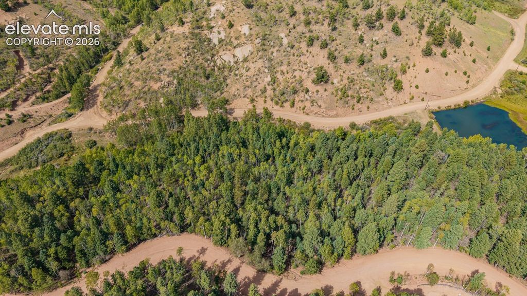 1034 Little Topsey Drive, Cripple Creek, CO 80813 — photo 5